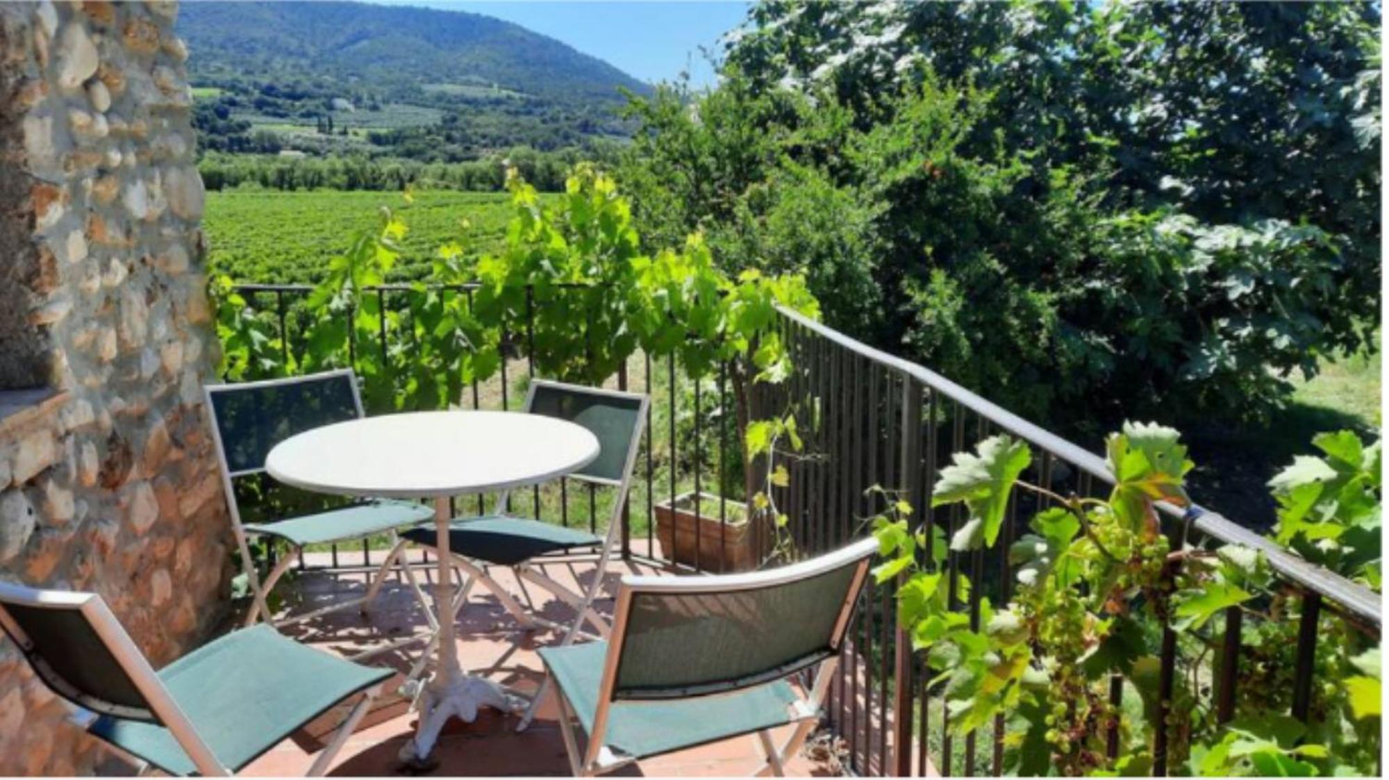 L'O De Vigne, Eden In Provence Villa Ньон Екстериор снимка